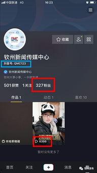 抖音官方新闻爆料怎么弄,如何轻松制作爆款短视频