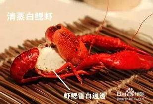 四毛龙虾爆料视频播放,揭秘幕后真相，引发网友热议
